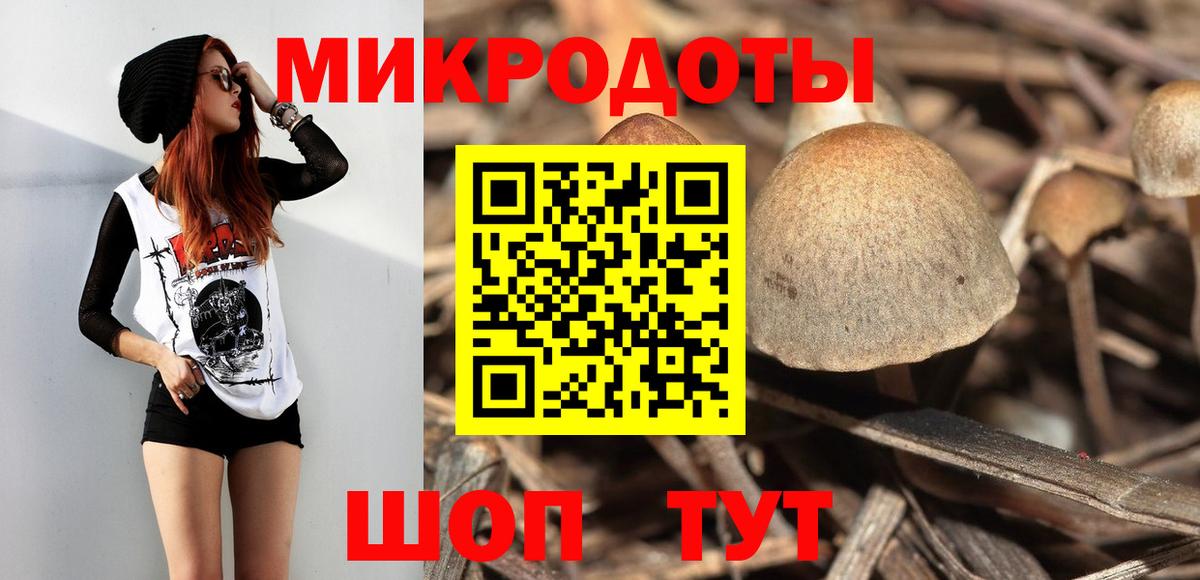 Фролово  Псилоцибиновые грибы Cubensis  Псилоцибиновые грибы Psilocybe  Вход с VPN 